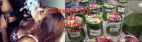тгк Ельня