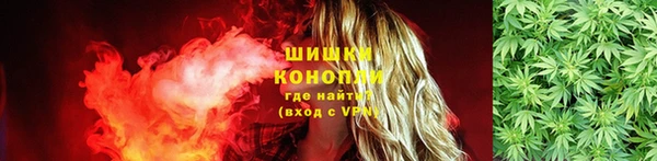 тгк Ельня