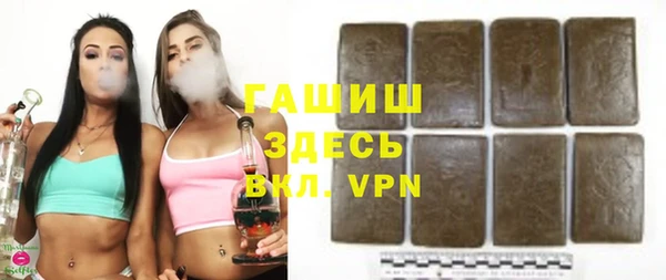 тгк Ельня