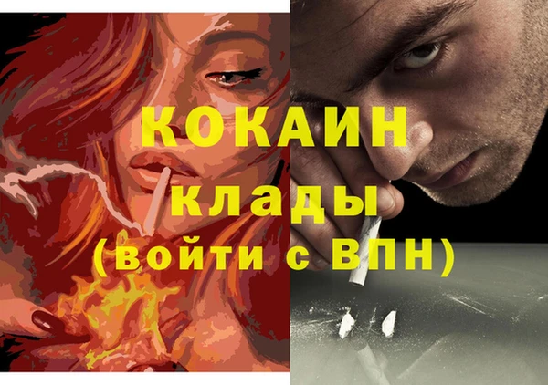 тгк Ельня