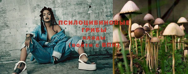 тгк Ельня