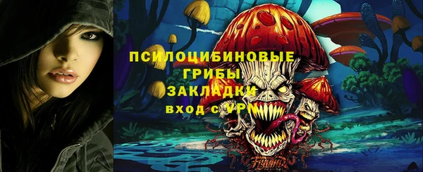 тгк Ельня