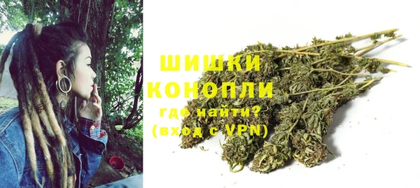 тгк Ельня