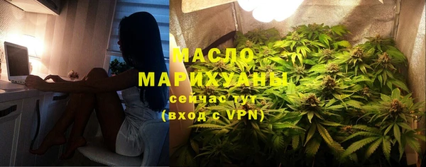тгк Ельня