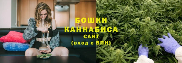 тгк Ельня