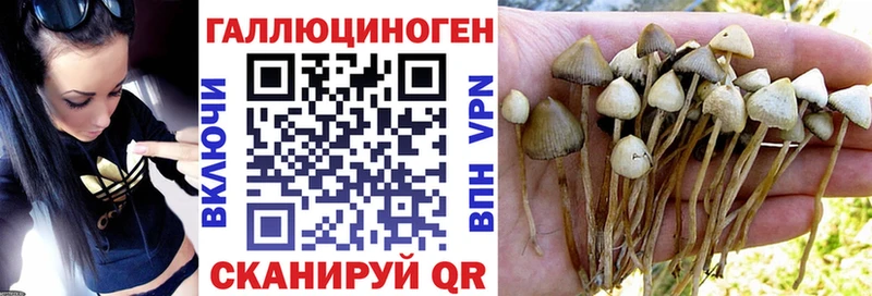 что такое   Семёнов  Галлюциногенные грибы прущие грибы 